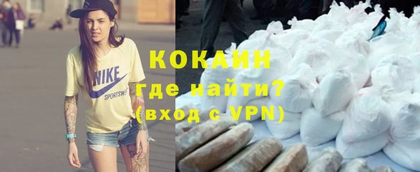 бошки Мегион