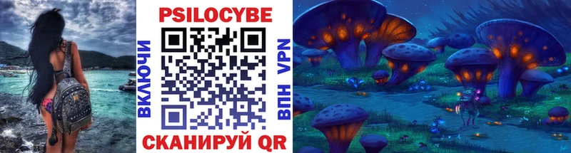 hydra как зайти  дарнет шоп  Нерчинск  Псилоцибиновые грибы Psilocybine cubensis 